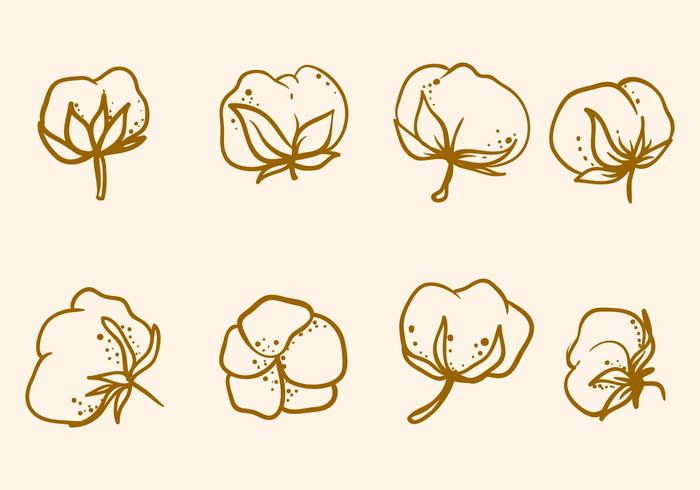 Free Hand Drawn Cotton Flower Vector Free Hand Drawn Cotton Flower Vector