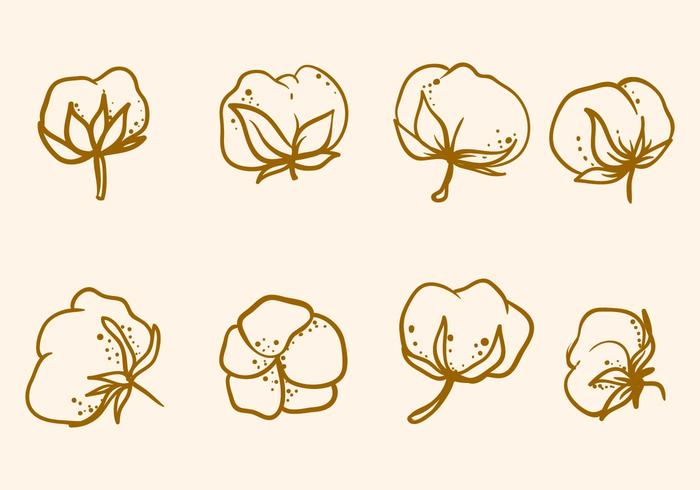 Free Hand Drawn Cotton Flower Vector