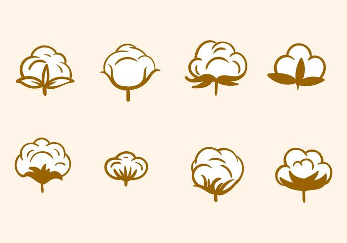Free Hand Drawn Cotton Flower Vector Free Hand Drawn Cotton Flower Vector