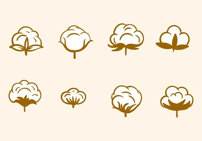 Free Hand Drawn Cotton Flower Vector