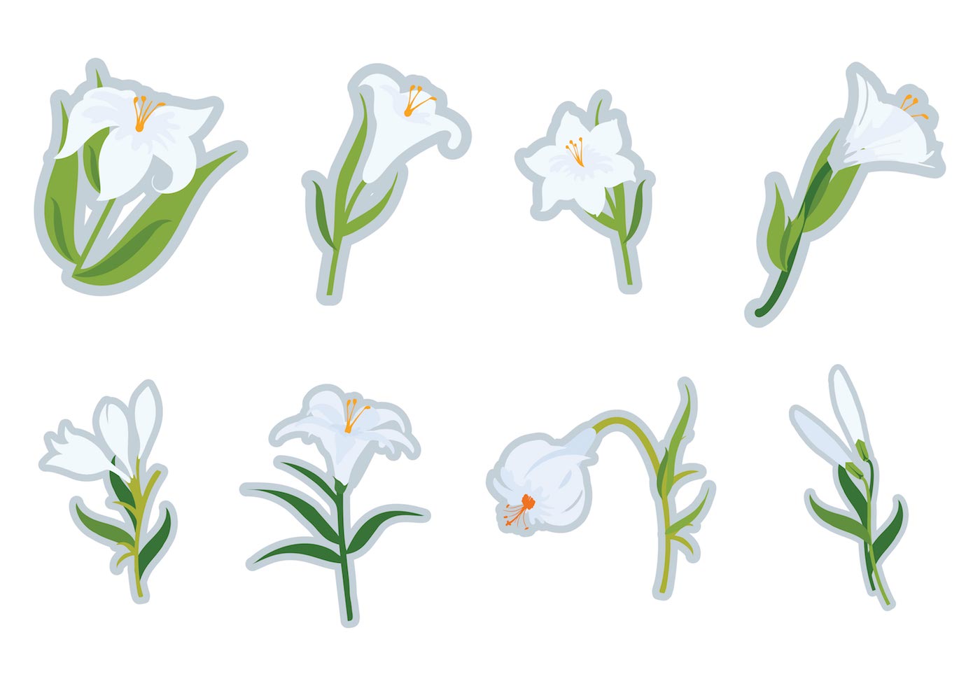 Download Free White Easter Lilies Vector 133893 Vector Art at Vecteezy
