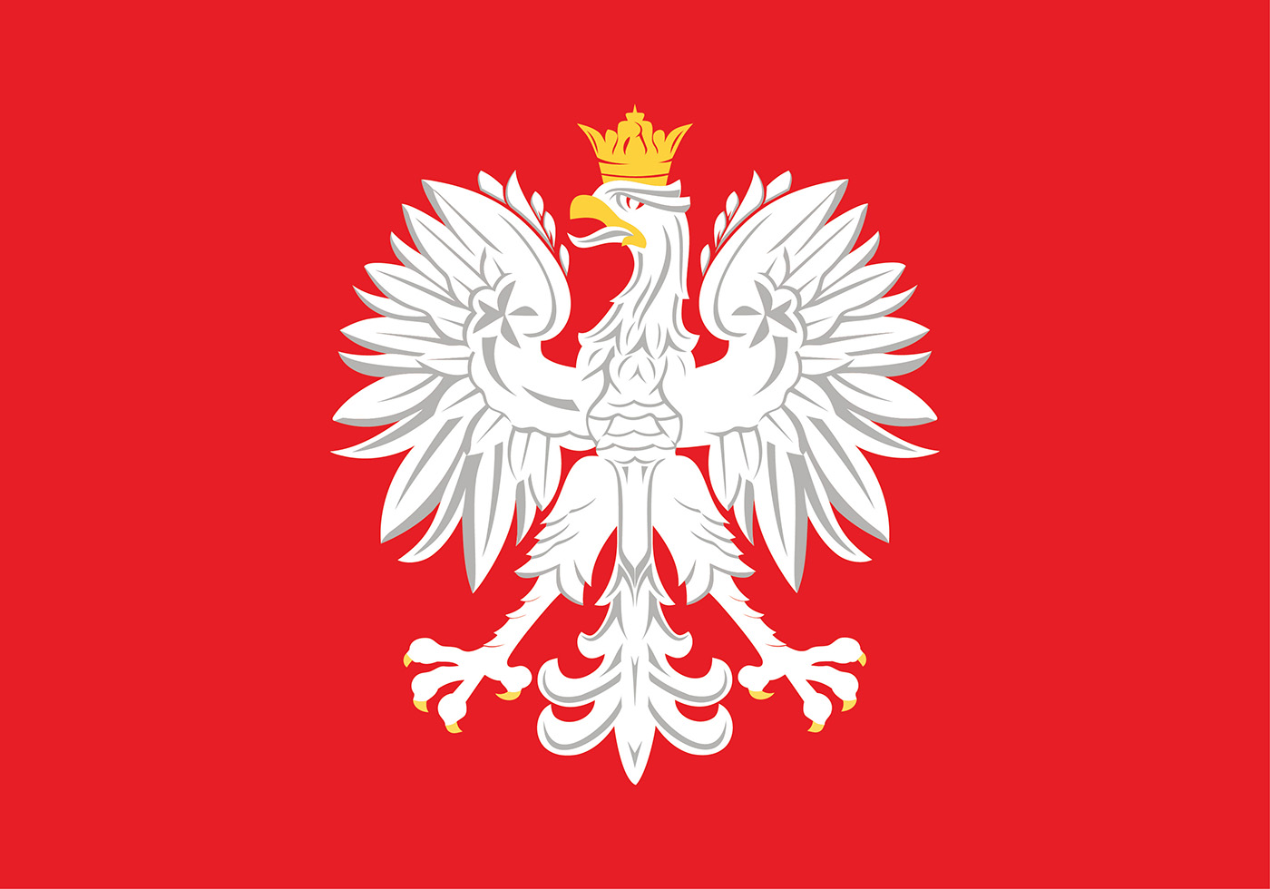 Image result for polish flag