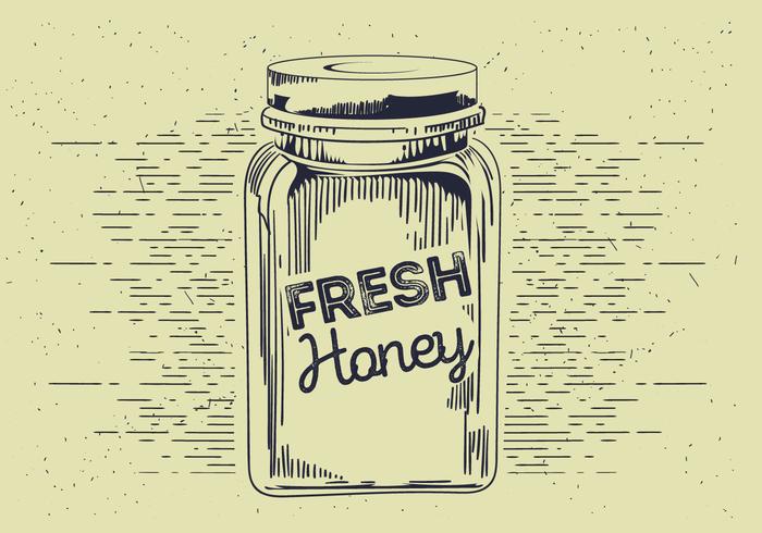 Honey Jar Vector Sketch