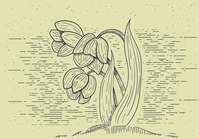Free Detailed Vector Flower Illutration Free Detailed Vector Flower Illutration