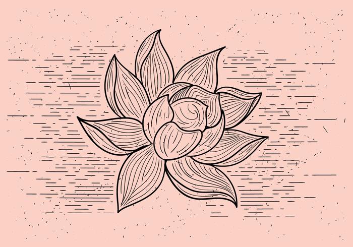 Free Detailed Vector Flower