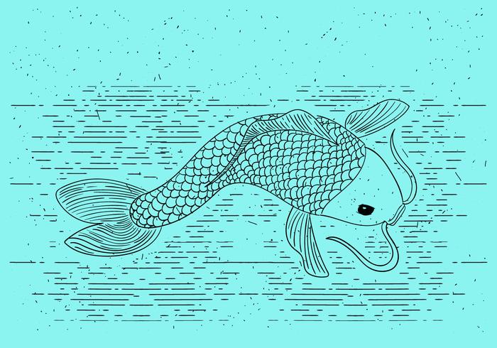 Free Detailed Vector Illustration of Gold Fish Free Detailed Vector Illustration of Gold Fish