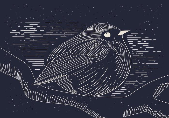 Detailed Vector Illustration of Bird