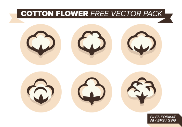 Cotton Flower Free Vector Pack Cotton Flower Free Vector Pack
