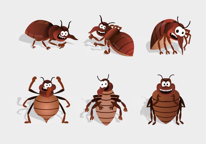 bed bug cartoon character vector