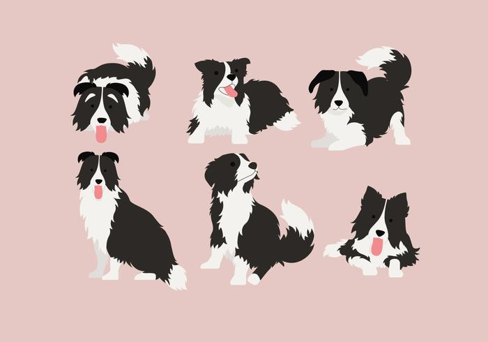 Download Border Collie 2 Vector - Download Free Vectors, Clipart ...