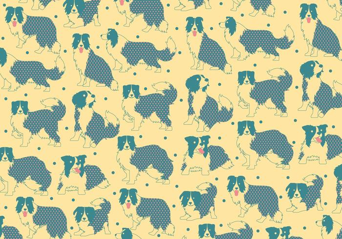 Border Collie Pattern Vector