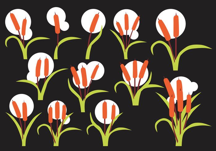 Free Cattails Vector Free Cattails Vector