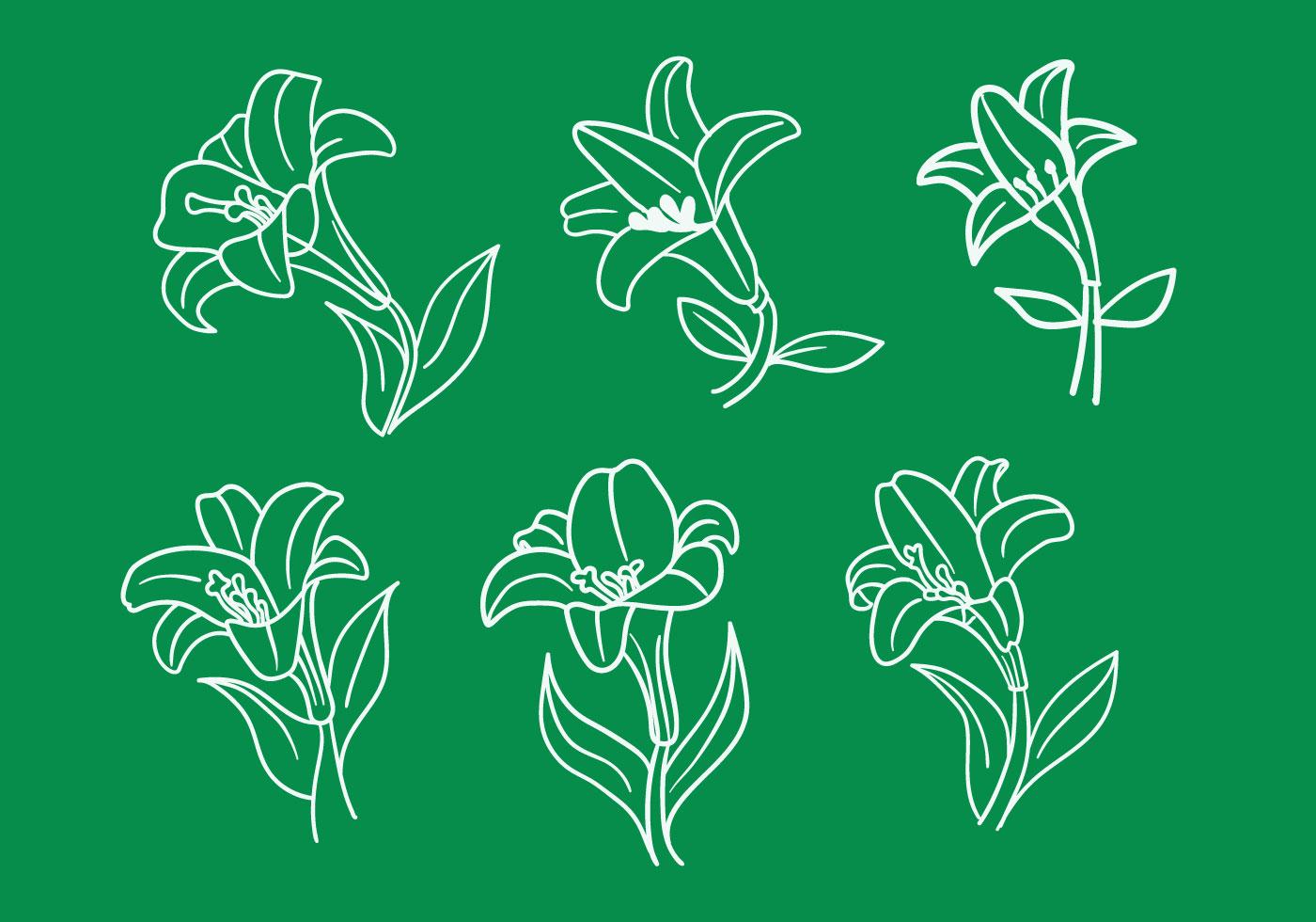 Easter Lily Vectors 134383 Vector Art at Vecteezy