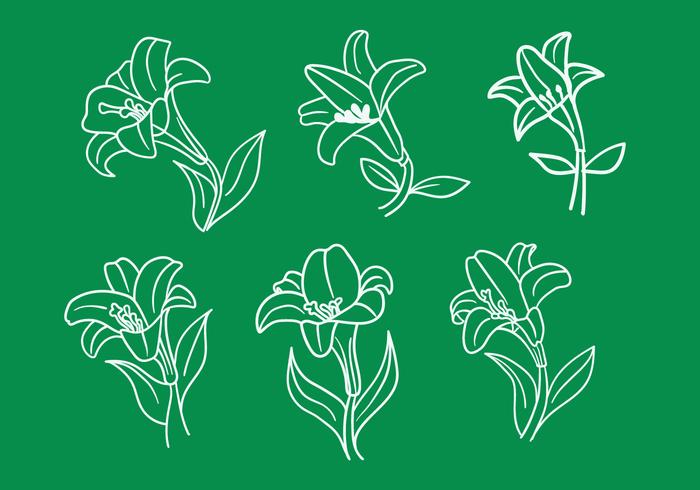 Easter Lily Vectors