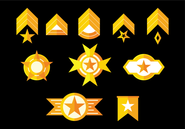 Brigadier insignias vectoriales vector