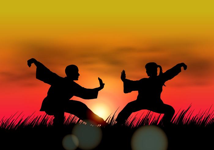 Couple Doing Wushu At Sunset vector