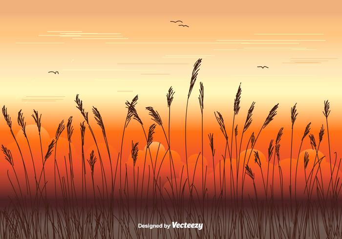 Sea Oats Vector Background