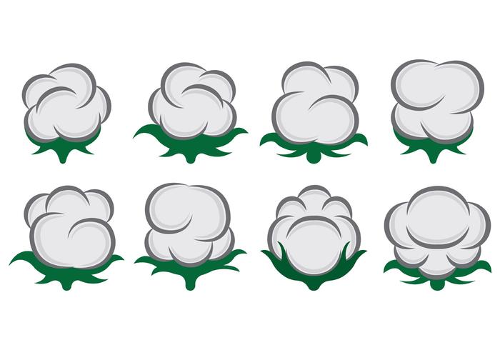 Vector Of Cotton Flowers