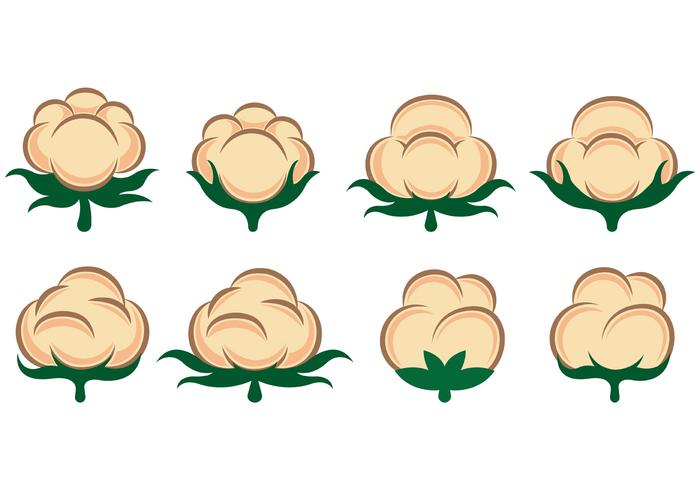 Vector Of Cotton Flowers