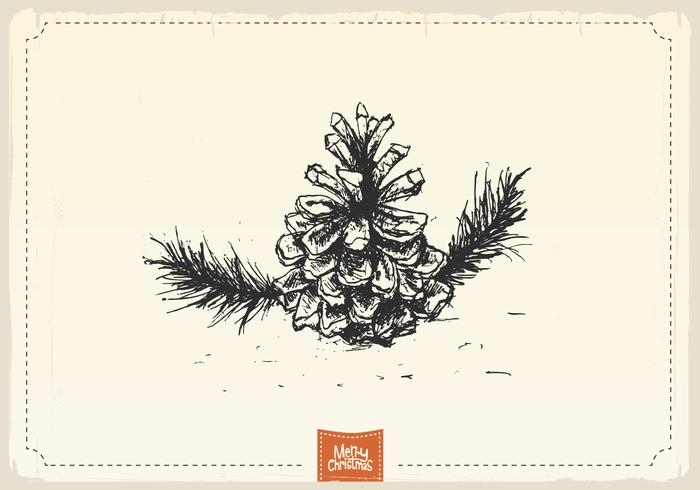 Antique Pine Cone Sketch Vector