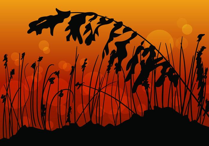 Sea Oats Sunset View vector