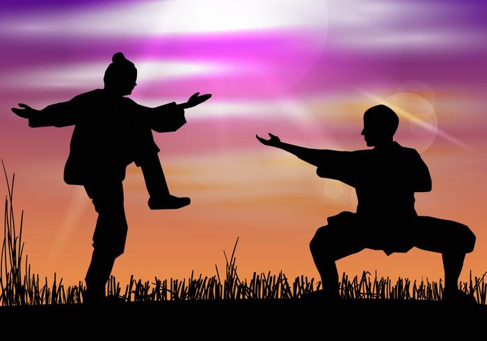 Man Doing Wushu In Silhouette vector