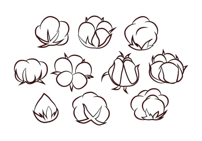 Free Cotton Flower Vector