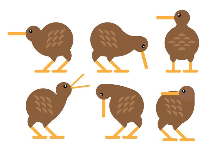 Libre Kiwi Bird Iconos Vector