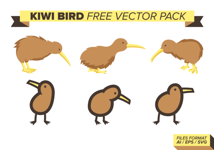 Kiwi Bird Free Vector Pack Kiwi Bird Free Vector Pack