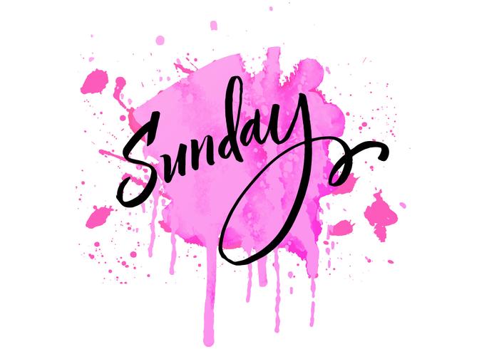 Sunday Lettering Watercolor vector