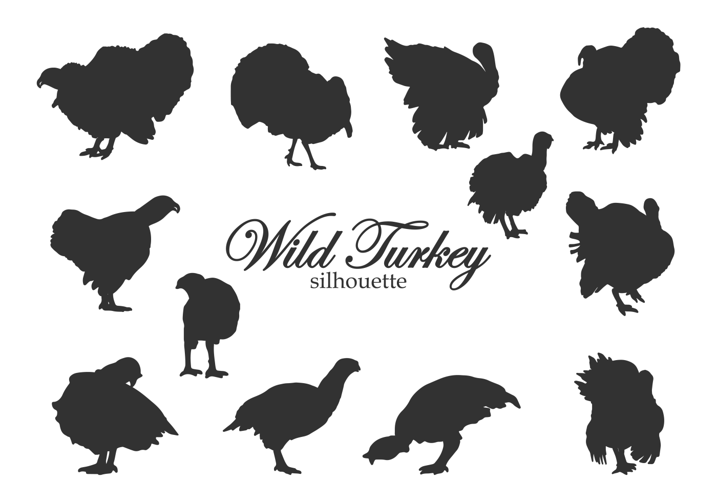 Download Wild Turkey Silhouettes - Download Free Vectors, Clipart Graphics & Vector Art