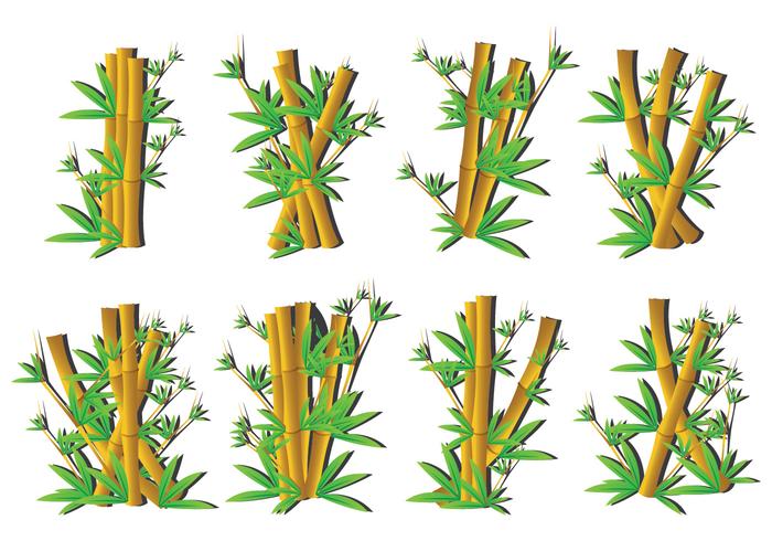 Bamboo icons vector