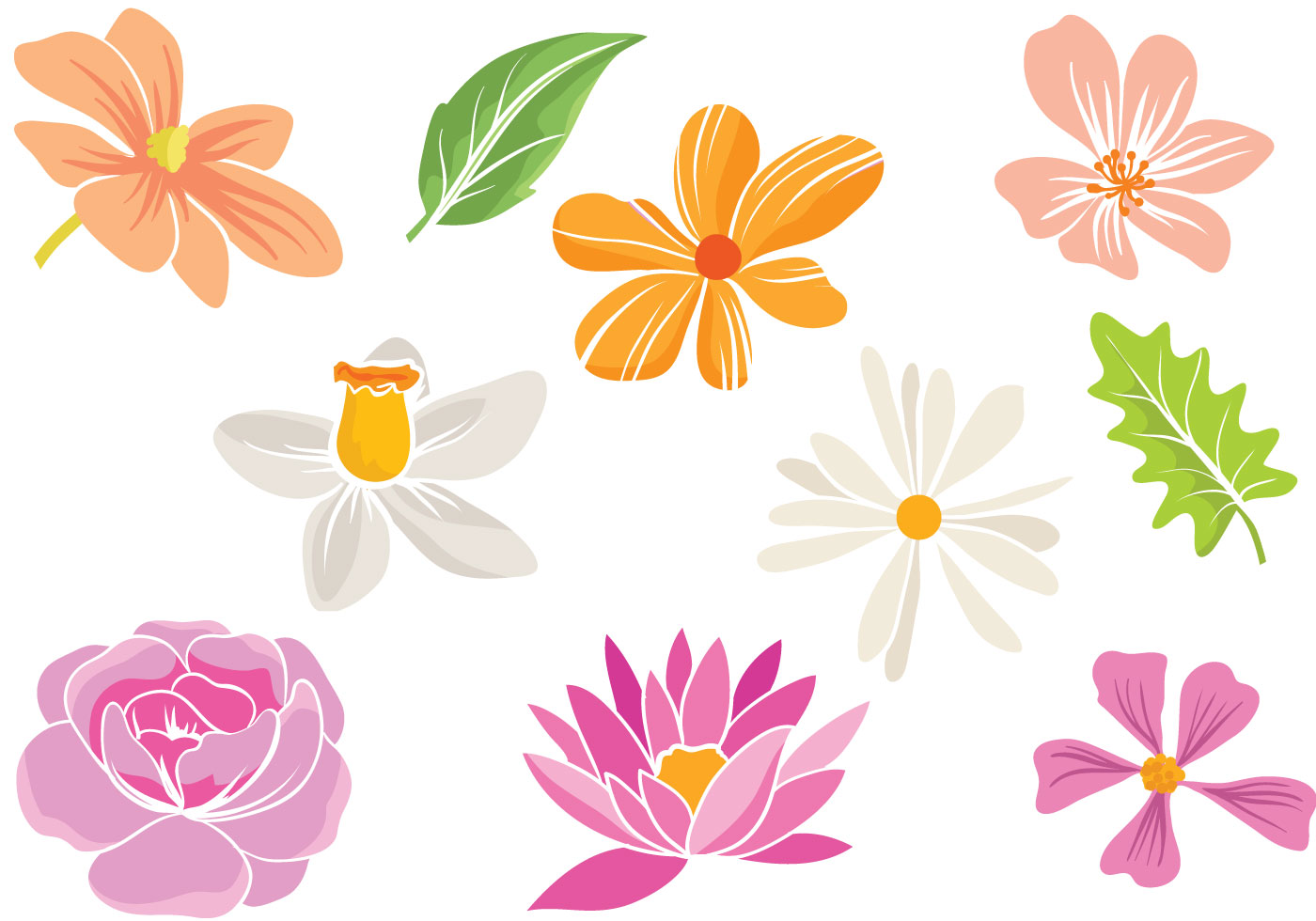 Free Free 331 Simple Drawn Flower Svg SVG PNG EPS DXF File