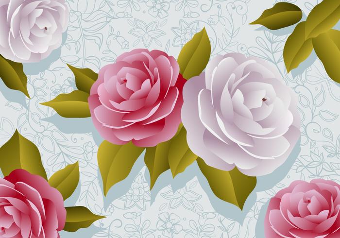 Camellia Flowers vector