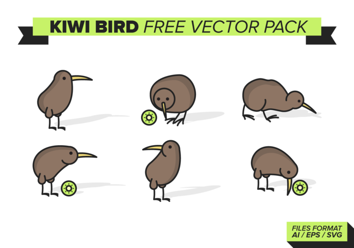 Kiwi Bird Free Vector Pack Kiwi Bird Free Vector Pack