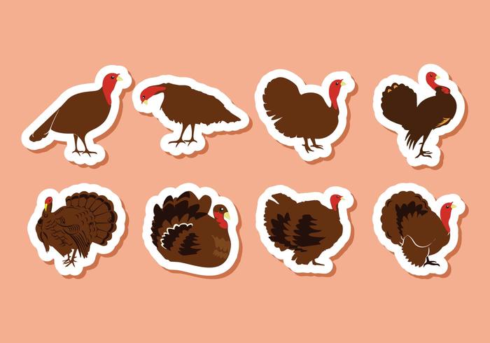 Free Turkey Bird Vector Illustration