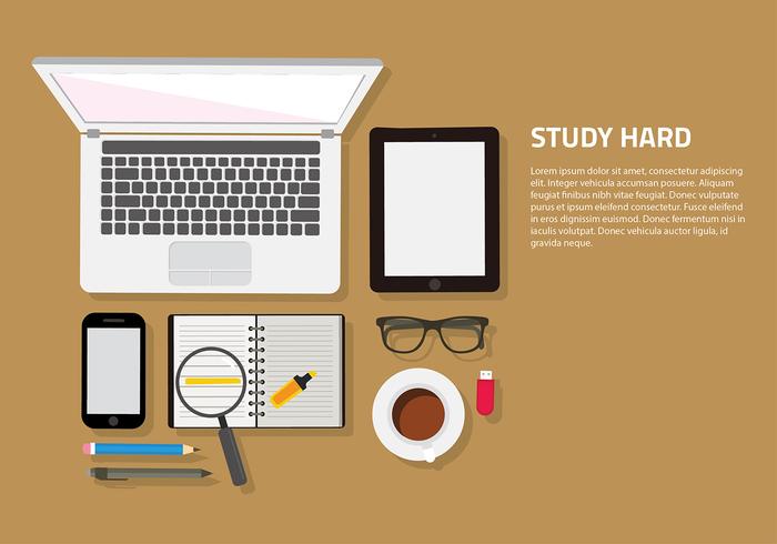 Studying Set Free Vector