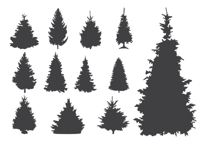 Sapin Silhouettes Vector