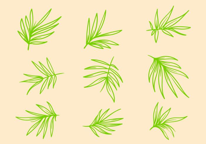 Free Bamboo Vector