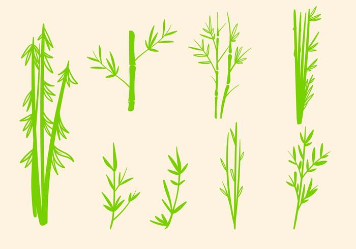 Free Bamboo Vector