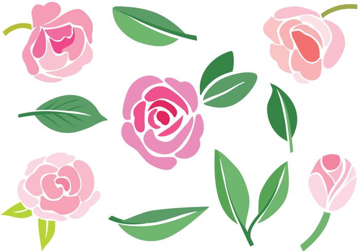 Free Camellia Vectors