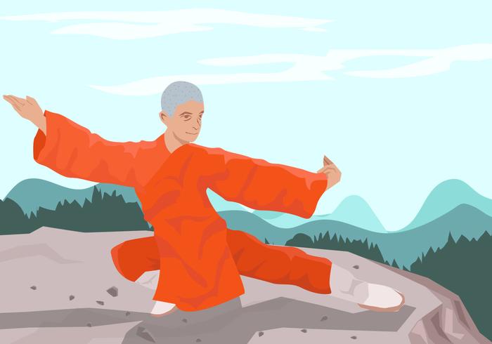 Hombre haciendo Wushu vector