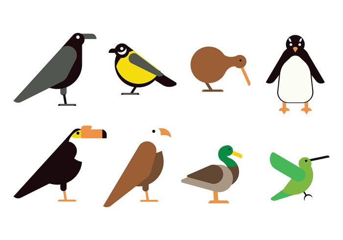 Flat Bird Icon vector