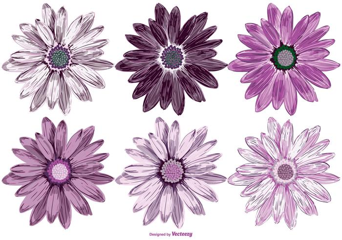 Vector Flowers Collection Vector Flowers Collection