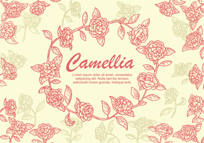 Ilustración de la flor de la camelia vector