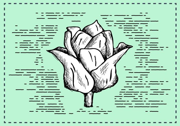 Free Hand Drawn Flower Background Free Hand Drawn Flower Background