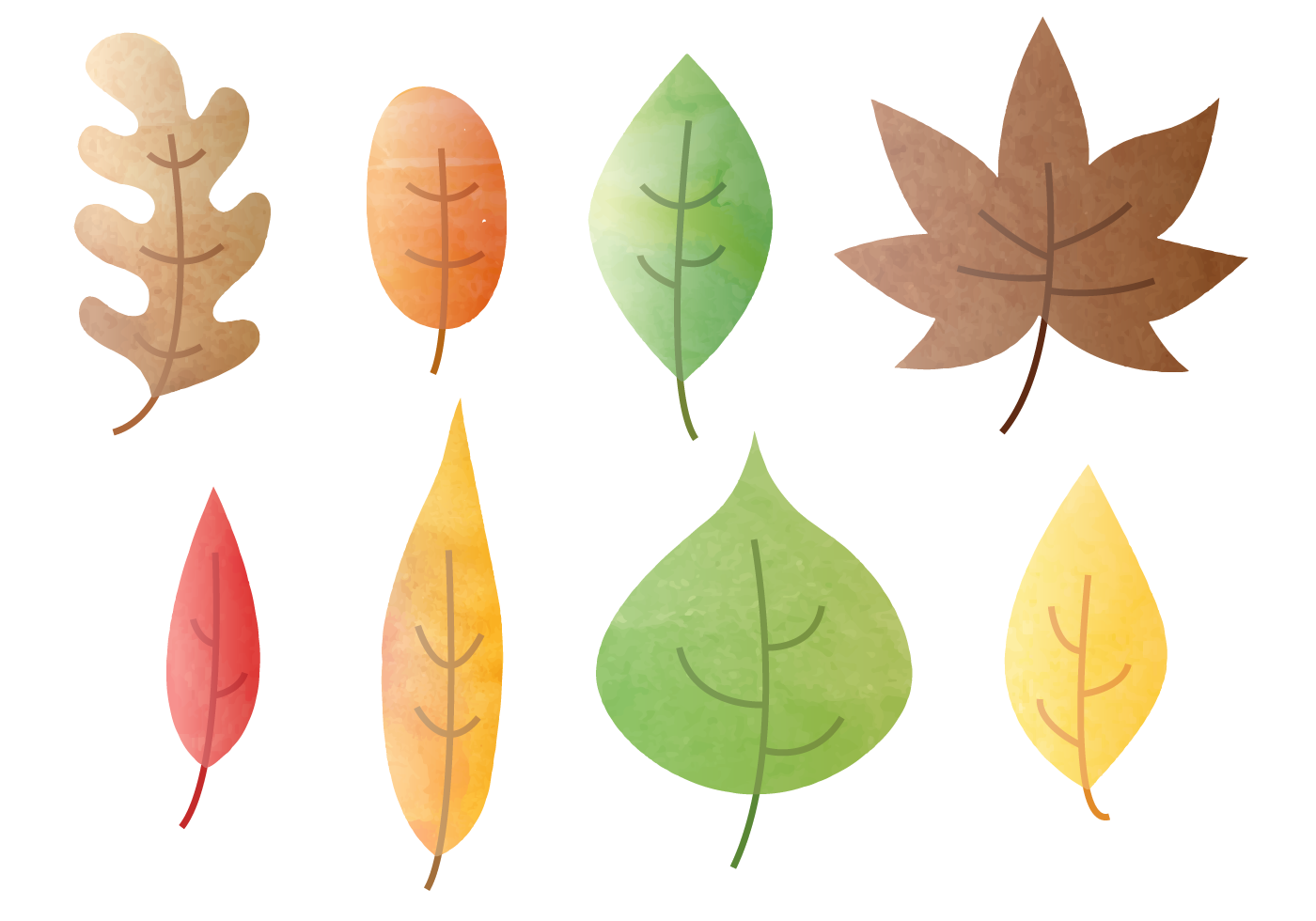 Download Free Watercolor Autumn Leaves Vector - Download Free Vectors, Clipart Graphics & Vector Art