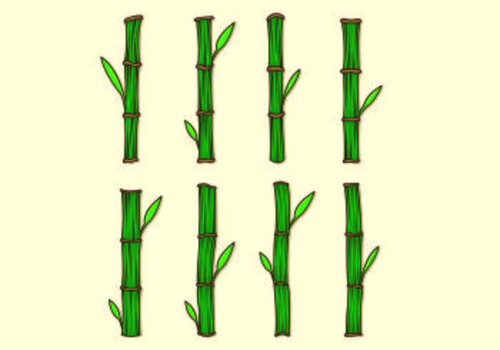 Set Of Bamboo Vectors 