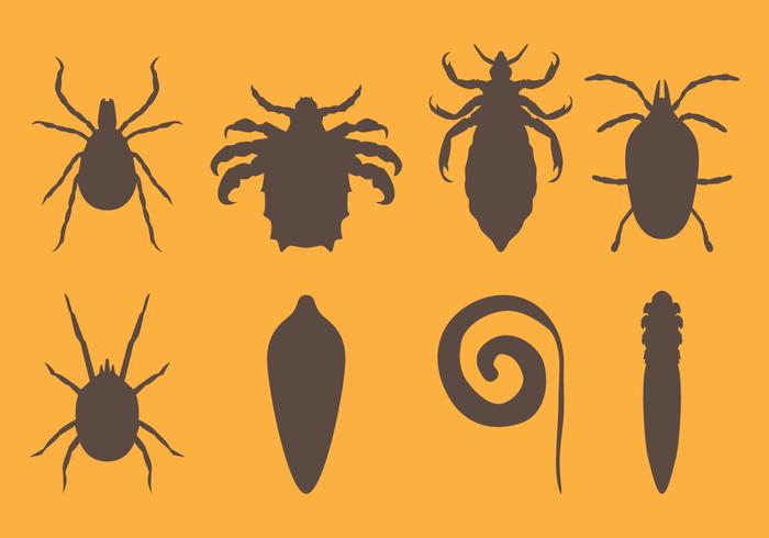 Human Parasites Silhouettes vector