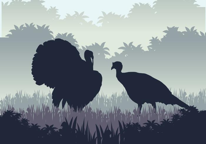 Wild Turkey Hunting Season 137175 Vector Art at Vecteezy